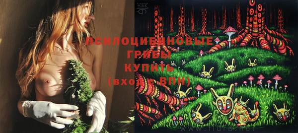 кокс Алексин