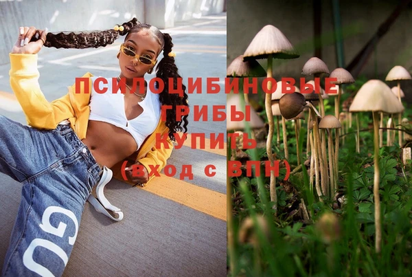 Альфа ПВП Алзамай