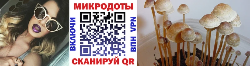 хочу   mega сайт  Псилоцибиновые грибы Psilocybe  Балашов 